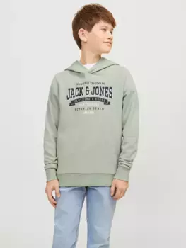 Детская толстовка Jack & Jones "JJELOGO SWEAT HOOD 2 COL 23/24 SN MNI" Jack & Jones Junior, цвет Desert Sage