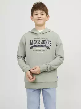Детская толстовка Jack & Jones "JJELOGO SWEAT HOOD 2 COL 24 SN JNR" Jack & Jones Junior, цвет Desert Sage
