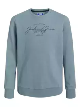 Детская толстовка Jack & Jones "JJFERRIS SWEAT CREW NECK JNR" Jack & Jones Junior, синий