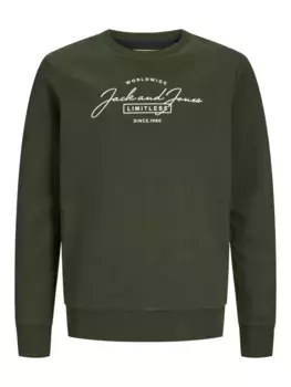 Детская толстовка Jack & Jones "JJFERRIS SWEAT CREW NECK JNR" Jack & Jones Junior, зеленый