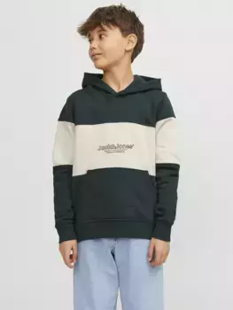 Детская толстовка Jack & Jones "JORLAKEWOOD BLOCK SWEAT H" Jack & Jones Junior, цвет Magical Fore