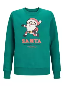 Детская толстовка Jack & Jones "JORXMAS CREW NECK SWEAT XMAS JNR", с рождественским мотивом Jack & Jones Junior, зеленый