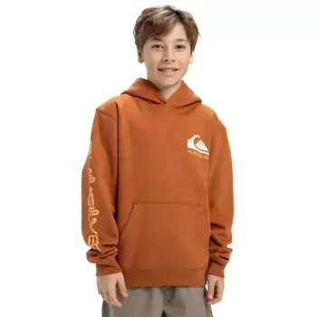 Детская толстовка Omni Logo Quiksilver, коричневый