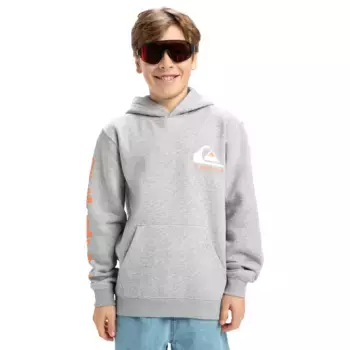 Детская толстовка Omni Logo Quiksilver, серый