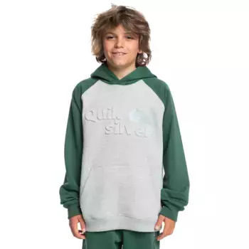 Детская толстовка Quiksilver Age of Blue Emboss, серый