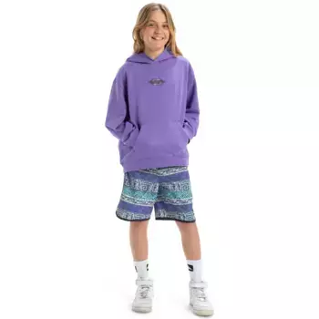 Детская толстовка Quiksilver APOG Heritage, фиолетовый