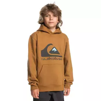 Детская толстовка Quiksilver Big Logo, коричневый
