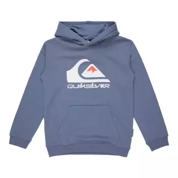 Детская толстовка Quiksilver Big Logo, серый