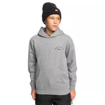 Детская толстовка Quiksilver Big Logo, серый