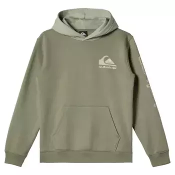 Детская толстовка Quiksilver Логотип, зеленый