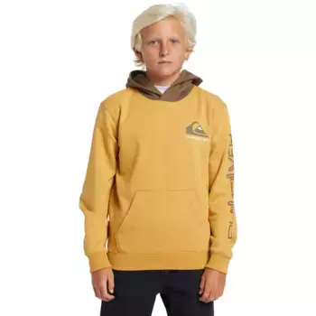 Детская толстовка Quiksilver Логотип, жёлтый