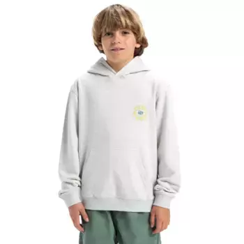 Детская толстовка Quiksilver с графическим рисунком, серый