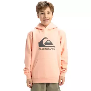 Детская толстовка с большим логотипом Quiksilver, цвет Rosa