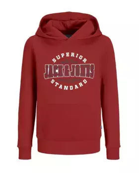 Детская толстовка с капюшоном Jack & Jones "JJELOGO SWEAT HOOD 2 COL 24/25 NOOS JNR" Jack & Jones Junior, цвет Red Ochre