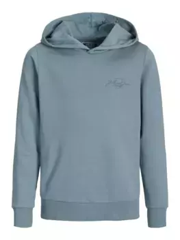 Детская толстовка с капюшоном Jack & Jones "JJFERRIS SWEAT HOOD JNR" Jack & Jones Junior, синий