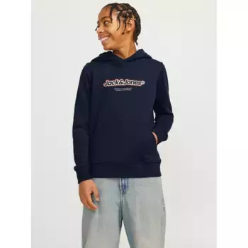 Детская толстовка с капюшоном Jack & Jones «JORVESTERBRO NEWTON BRNDG SWEAT BF JNR» Jack & Jones Junior, цвет Sky Captain