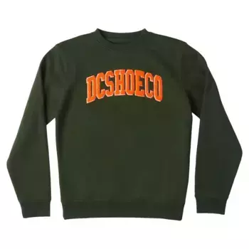 Детская толстовка Varsity DC Shoes, темно-зеленый