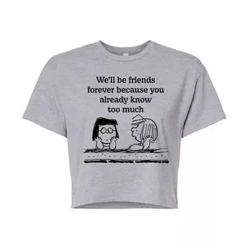Детская укороченная футболка Peanuts Friends Forever Licensed Character, серый