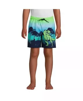 Детские плавки для мальчиков Active Stretch Lands' End, мультиколор