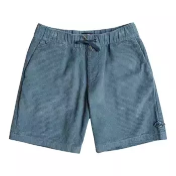Детские шорты Billabong Larry Cord, синий