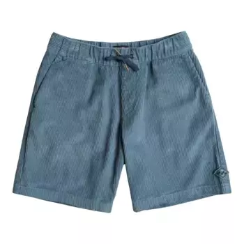 Детские шорты Billabong Larry Cord, синий