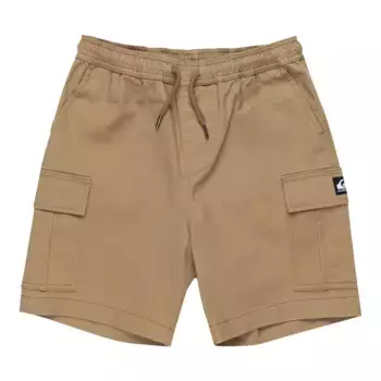 Детские шорты карго Taxer Quiksilver, бежевый
