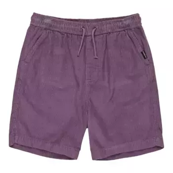 Детские шорты Taxer Quiksilver, пурпурный