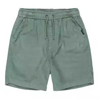 Детские шорты Taxer Quiksilver, зеленый