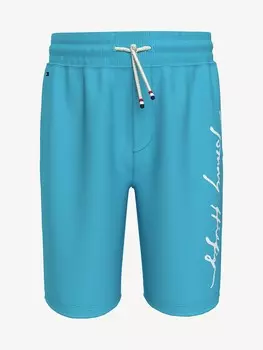 Детские спортивные шорты с логотипом solid script Tommy Hilfiger, синий