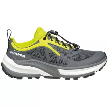 Детские туфли Golden Gate ATR GTX Scarpa, серый