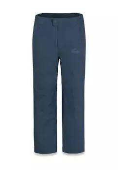 Детские зимние брюки Дельтана normani, темно-синий