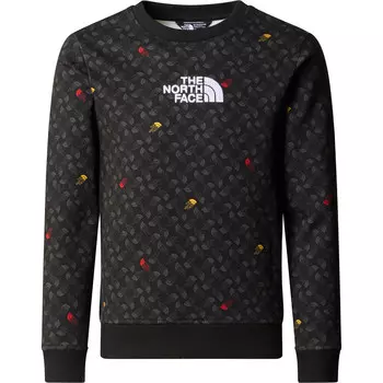 Детский пуловер с принтом B Drew Peak Light Crew The North Face, черный