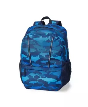 Детский рюкзак ClassMate Medium Lands' End, синий