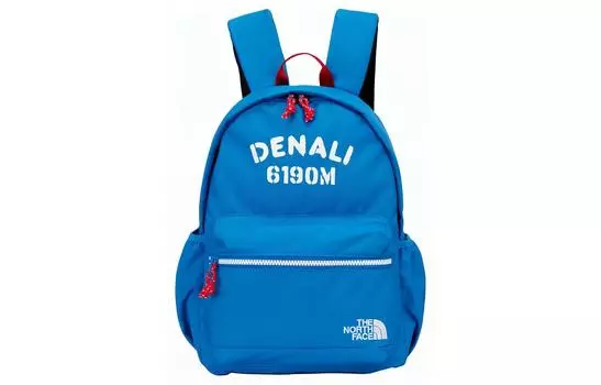 Детский рюкзак THE NORTH FACE, Blue