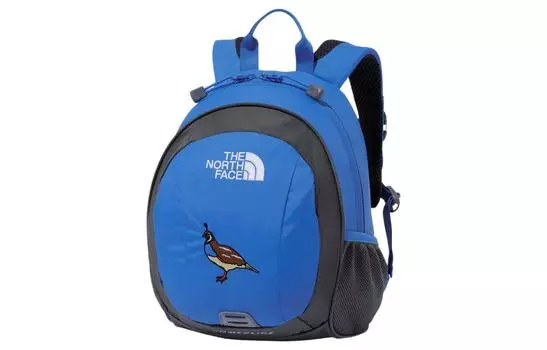 Детский рюкзак THE NORTH FACE, Supersonic blue