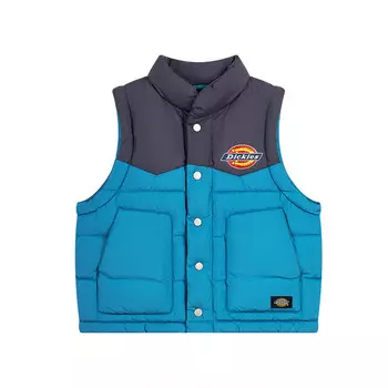 Детский жилет Dickies, цвет Banana yellow * milk coffee color