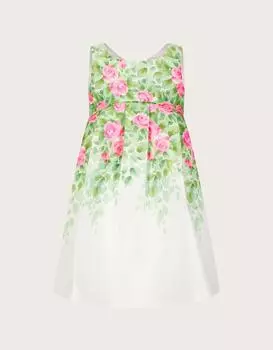 Детское платье герцогини с ботаническим принтом в виде розы Monsoon, слоновая кость