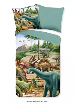 Детское постельное белье Good Morning динозавры - 135х200 см - фланель Muller Textil, зеленый