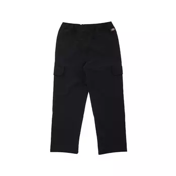 Dickies Брюки-карго, черные DK0A87FQBLK унисекс