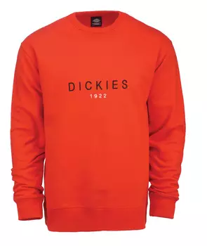 Dickies Faber Толстовки, оранжевый