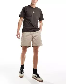 Dickies – Fincastle – Бежевые шорты
