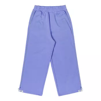 Dickies Повседневные брюки женские фиолетовые
