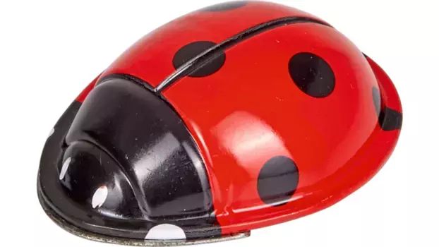 Die Spiegelburg Жук-ловкость Красочные подарки