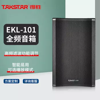 Динамик Takstar EKL-101 300 Вт профессиональный
