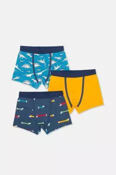 Дино веерные сундуки Kite, мультиколор