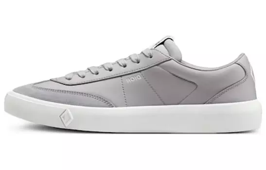DIOR B101 Gray Gray White