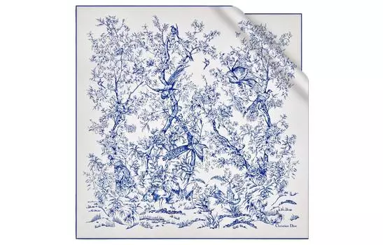 DIOR Шелковый шарф женский, синие/белые