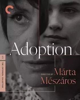 Диск Blu-ray Adoption [Criterion]