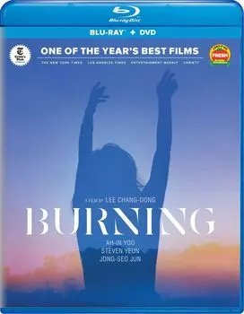 Диск Blu-ray Burning [2018]