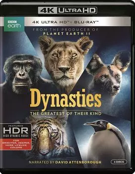 Диск Blu-ray Dynasties